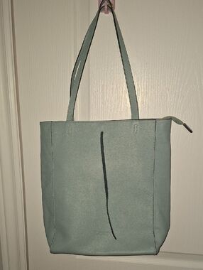 Mint Green Everyday Tote Bag